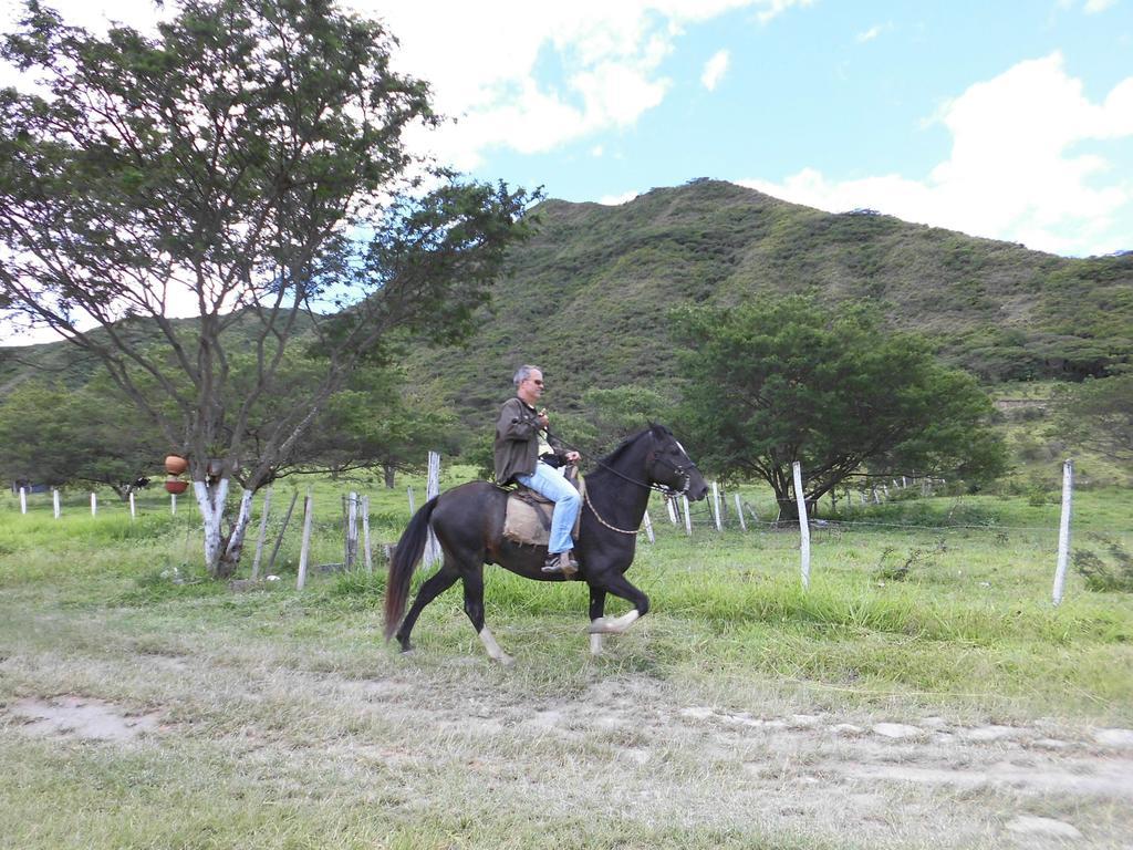 Villa Beatriz Lodge Vilcabamba Esterno foto